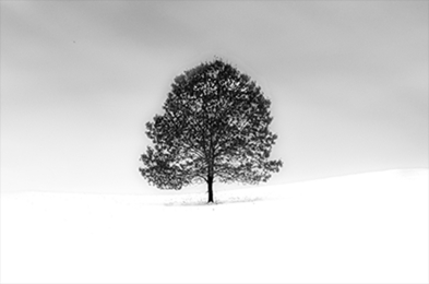 Lanvin 2018早秋女装系列