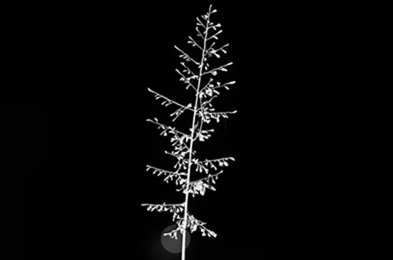 FENDI北京SKPS全新精品店隆重开幕